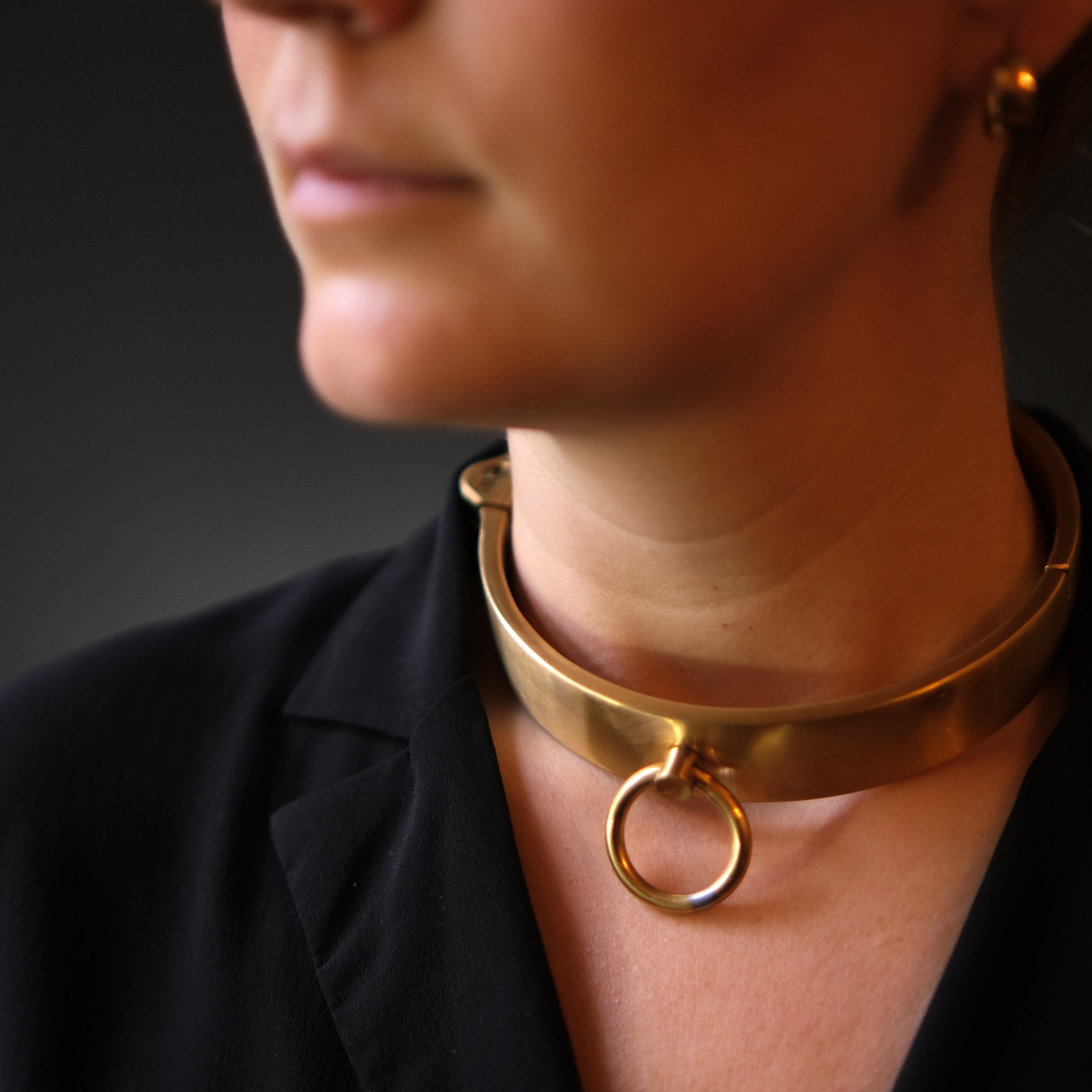 Solid stainless steel collar with push-in lock