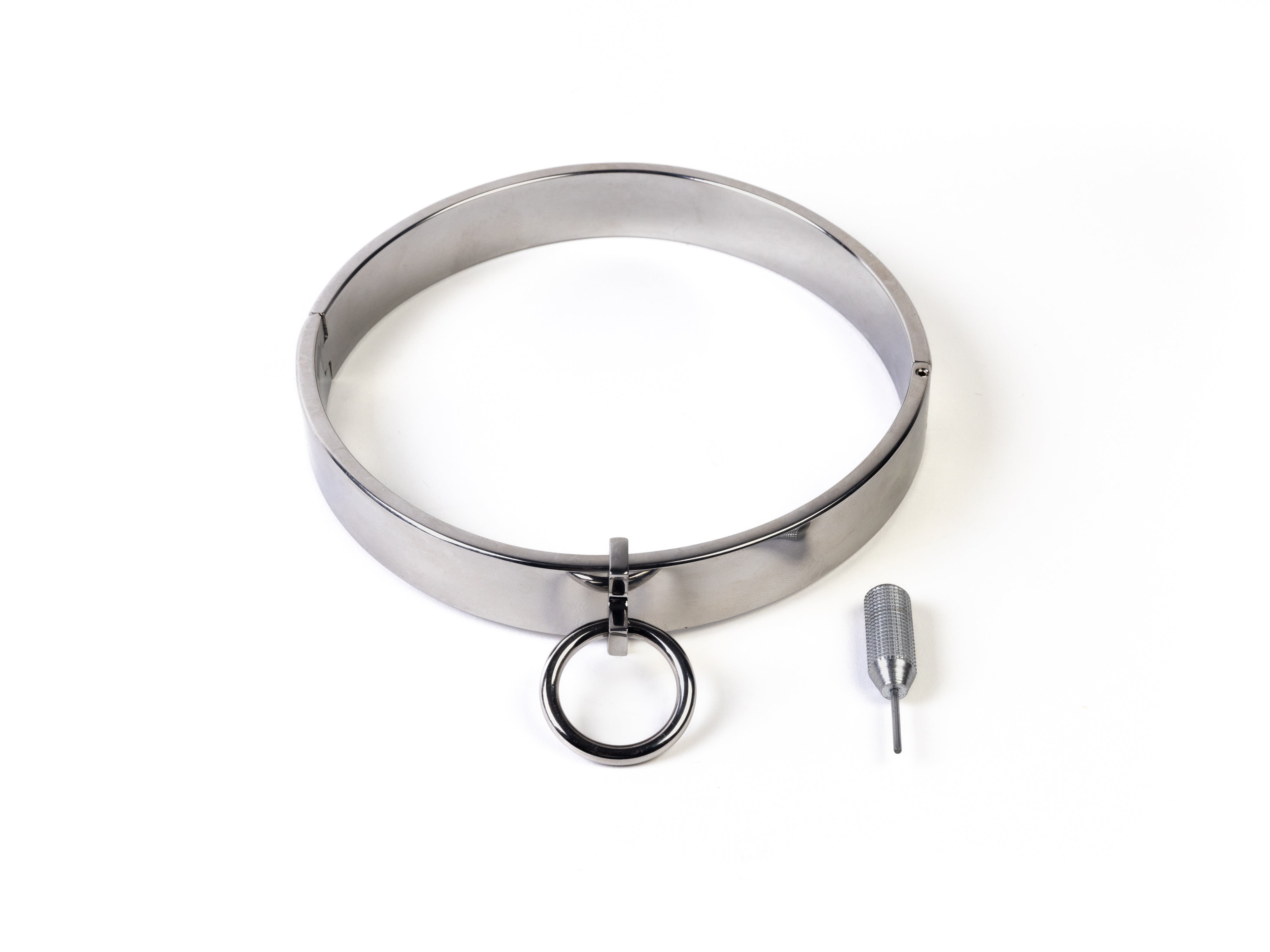 Stainless steel collar with removable ring